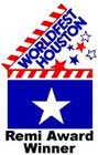 worldfest_remi_award_winner_los_angeles_fine_art